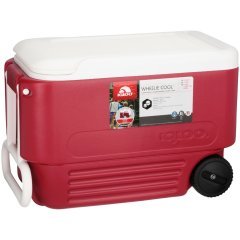 36 Litre Organ Taşıma Çantası - Igloo