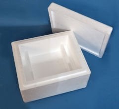 Medicine Transport Box - L