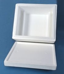 Medicine Transport Box - L