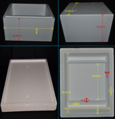 Medicine Transport Box - L